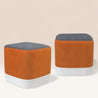 BLOOM Set of 2 Pouffe